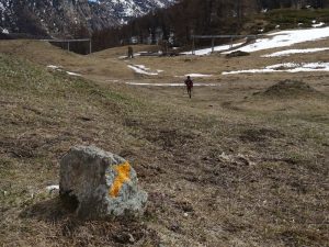 Rovine di un ru (un piccolo canale irriguo) sull'itinerario tra Praz e il Rifugio Magià - Foto di Gian Mario Navillod.