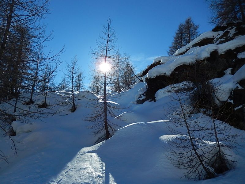 Sentiero per il Bivacco Tzan il 21 dicembre - Foto di Gian Mario Navillod.