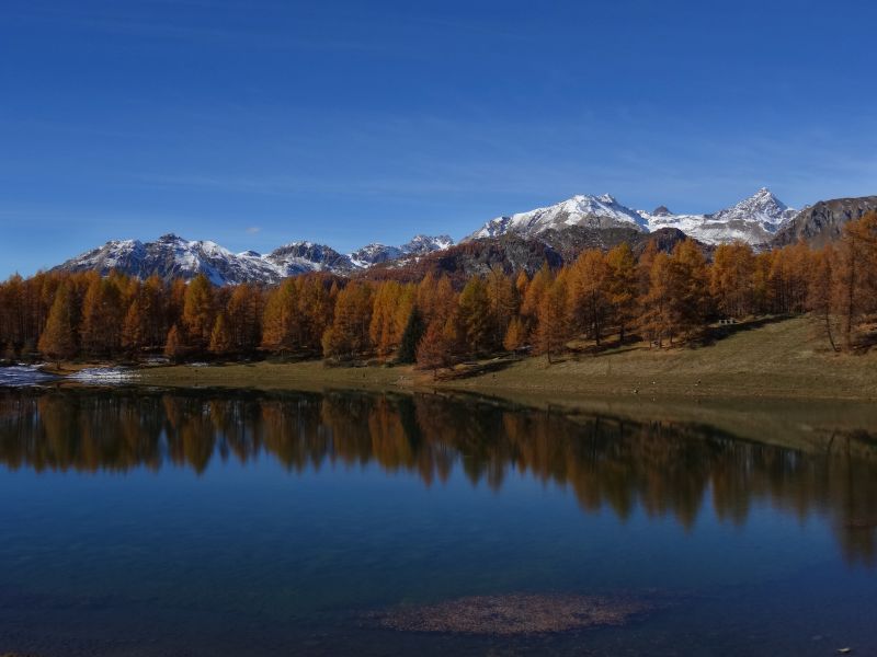Lago Lod di Chamois nel periodo della caduta delle foglie (fall foliage) - Foto di Gian Mario Navillod.