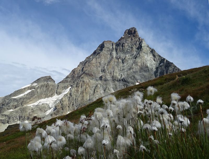 Il Monte Cervino salendo al Colle del Teodulo dal Giomein - Foto di Gian Mario Navillod.