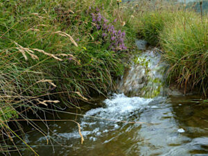 Ru di Cleva Bella di Chamois nel 2022 (prima dei lavori di intubazione) - Foto di Gian Mario Navillod.