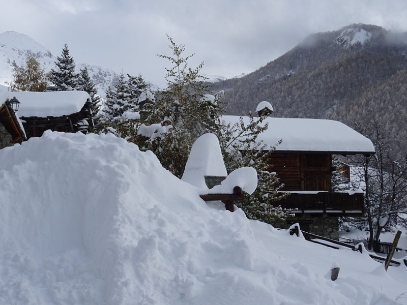 Chamois dopo la nevicata di metà novembre - Foto di Gian Mario Navillod.