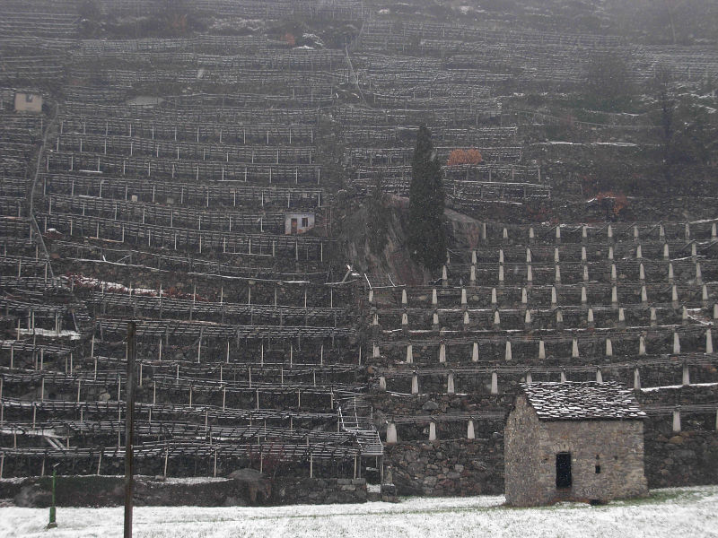 I muri di sostegno delle vigne di Donnas - gennaio 2014 - Foto di Gian Mario Navillod.