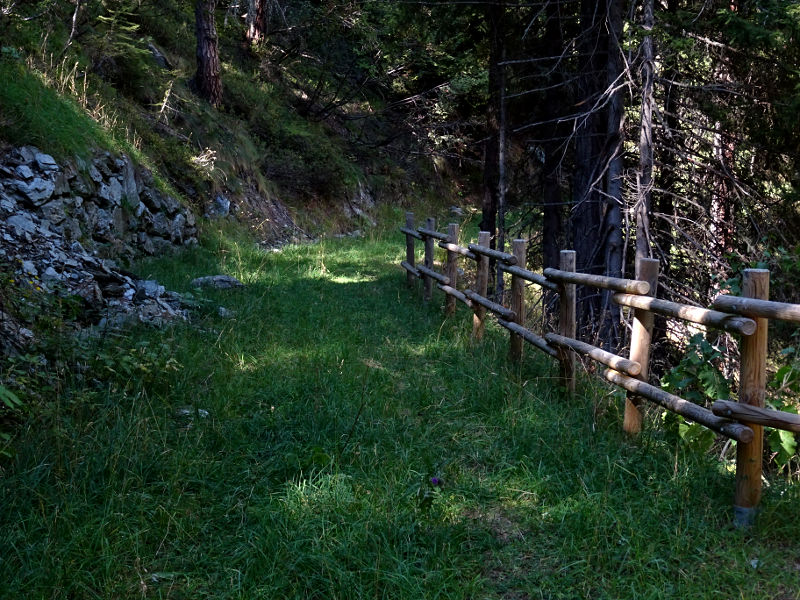 Pista forestale del Ru de Tchiou - Foto di Gian Mario Navillod.