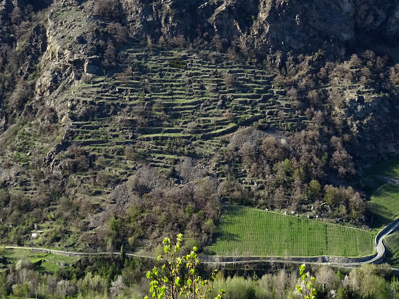 Terrazzamenti dell'Enfer d'Arvier visti dal Ru de l'Eau Sourde - Foto di Gian Mario Navillod.
