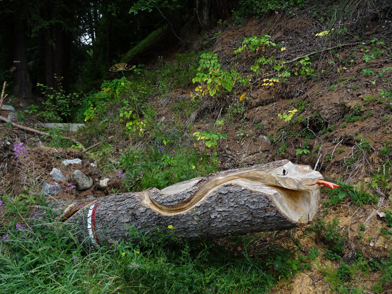 Il serpente scolpito lungo il Ru Entre La Salle - Foto di Gian Mario Navillod.