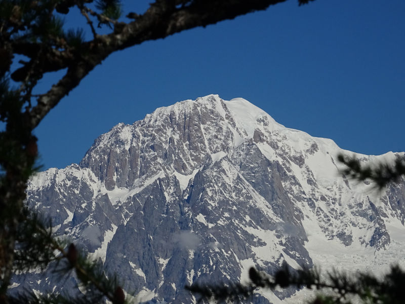 Il Monte Bianco visto dal Ru de Charbonnière - foto di Gian Mario Navillod.
