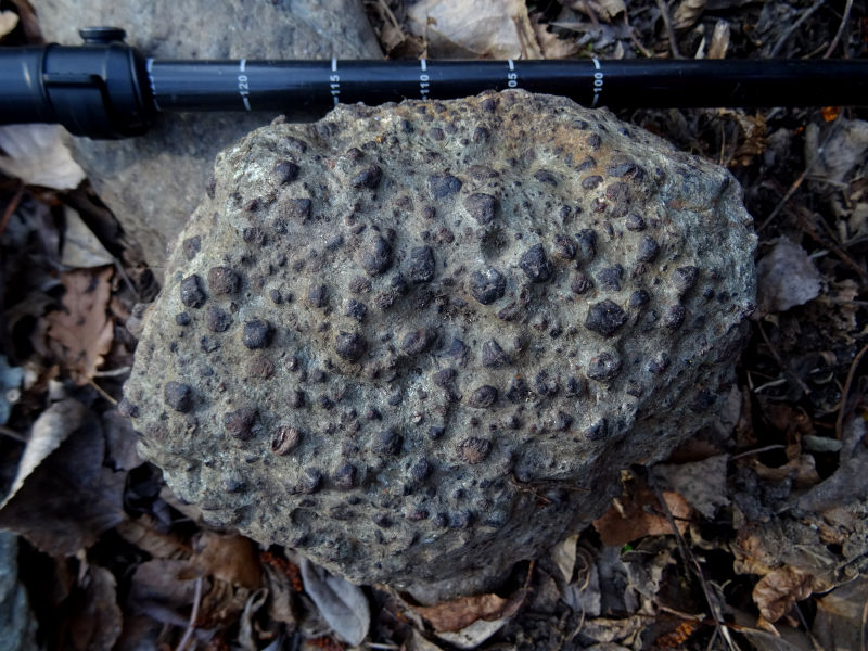 Granati in una pietra da macina lungo il Ru Mezein di Saint-Marcel - foto di Gian Mario Navillod.