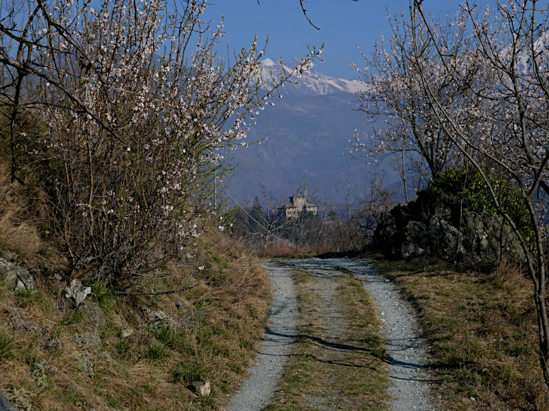 Lungo la Via Francigena - Strada sterrata e Castello Gamba - Foto di Gian Mario Navillod.