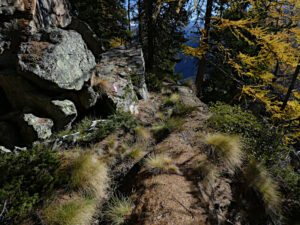 Il Ru de Runaz in autunno - Foto di Gian Mario Navillod.