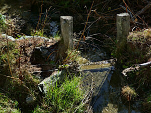 Paratoia in legno di un ru sopra il villaggio di Baulin di Avise - Foto di Gian Mario Navillod.