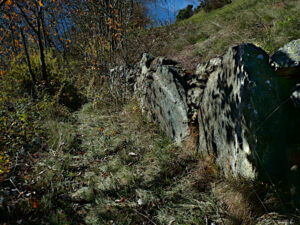 Mulattiera invasa dalla vegetazione salendo al Ru Vernier di Quart - Foto di Gian Mario Navillod.