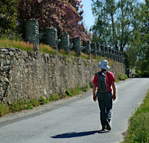 Lungo la Via Francigena - Le colonnine che sostenevano i pergolati - Foto di Mauro Gillio.