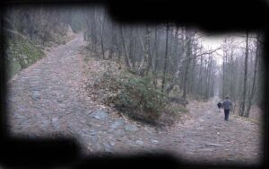 Strada militare Arnad Machaby in autunno - Foto di Gian Mario Navillod.